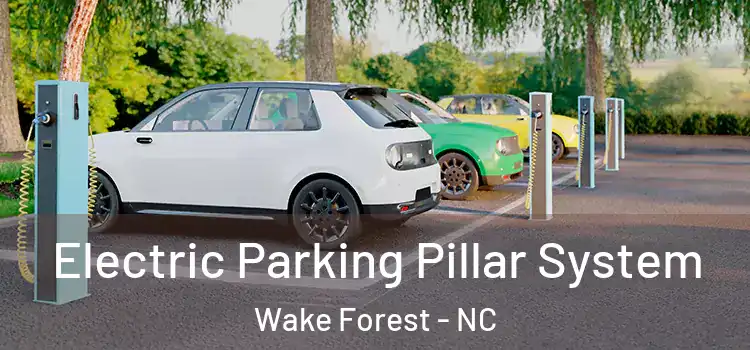  Electric Parking Pillar System Wake Forest - NC