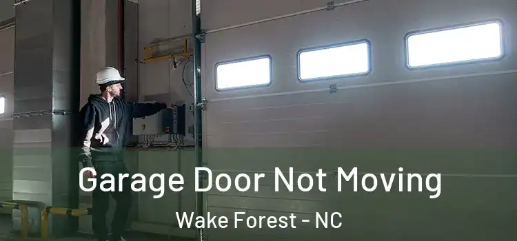  Garage Door Not Moving Wake Forest - NC